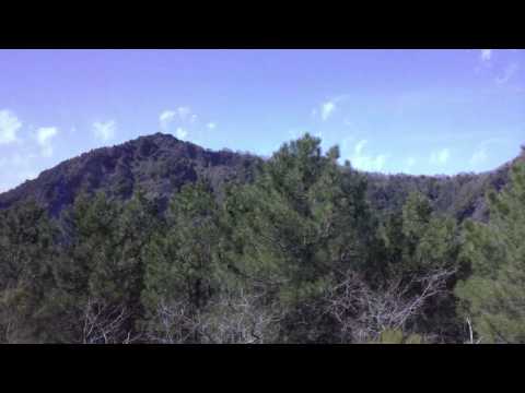 Ruige Rome Reis (10) - De Venuspius op