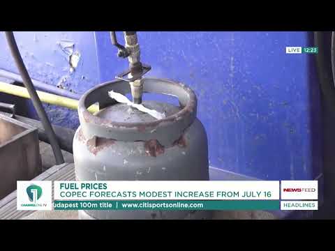 Fuel Prices Set to Rise Slightly From July 16 — COPEC Forecasts | News Feed