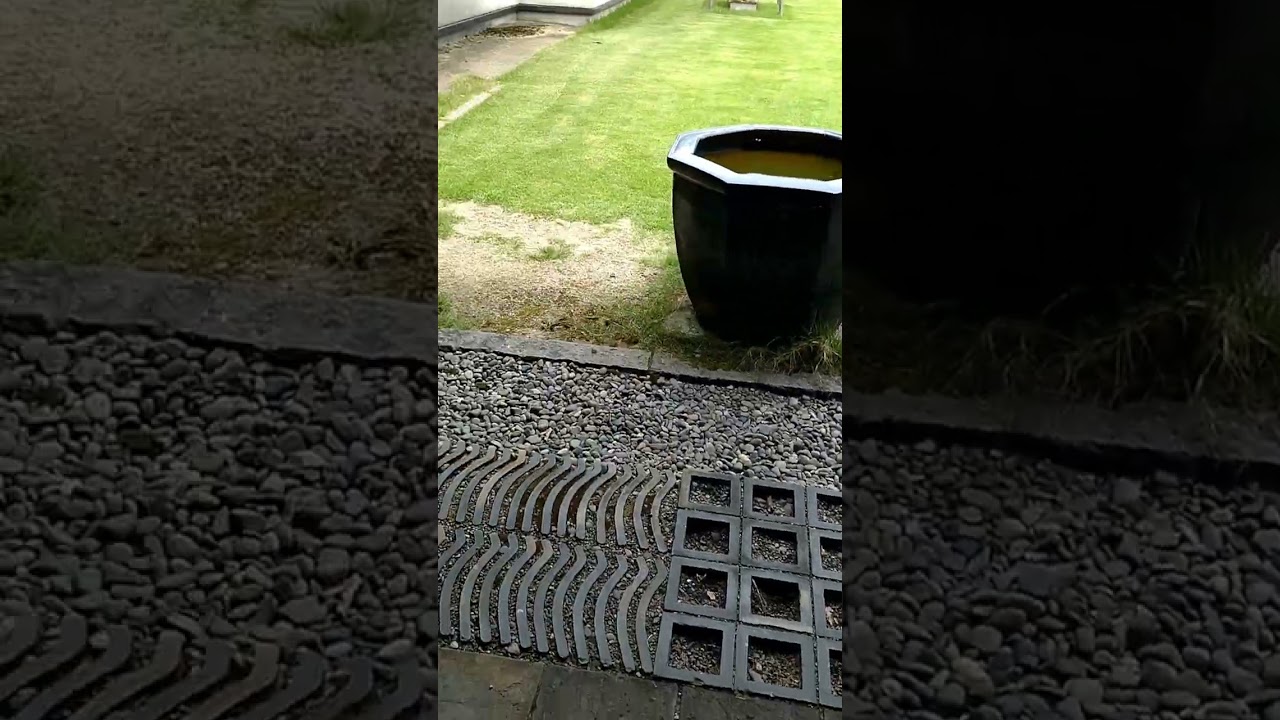 【お出かけ編】🚗〜笹だんごに抹茶🍡新潟#shorts