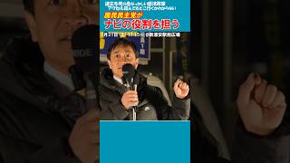 国民民主党はナビの役割を果たす #比例は国民民主党 #もっと手取りを増やす #shorts
