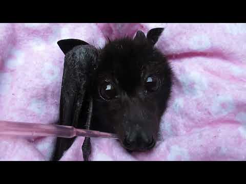 Miss Flora's Eyes Say It All