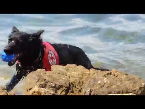 Vježba spašavanja utopljenika u moru