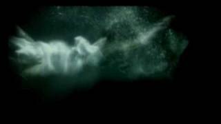 IN STRICT CONFIDENCE "The harder they come..." (Hecq Remix) - Music Video
