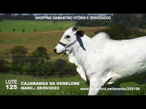 CAJAMANGA DA GENELORE