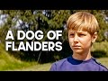 A Dog Of Flanders Emotional Family Film