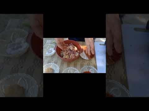 How to Cook Shish Kebab (Middle Eastern Cuisine)