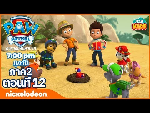 การ์ตูน Paw Patrol - ขบวนการเจ้าตูบสี่ขา ลูกหมาช่วยนกแก้ว ภาค2 ตอนที่ 12 | การตูนอเมริชั่นไทย2019