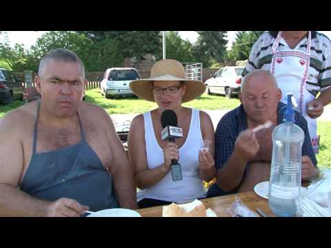 MAG TV - Lecsófeszt 2016. Dabas