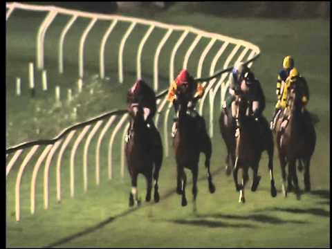 Galoppo 01/08/2015 - 3° corsa