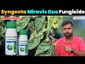 Miravis Duo Syngenta New Product अब मचेगा धमाल Miravis Duo Fungicide