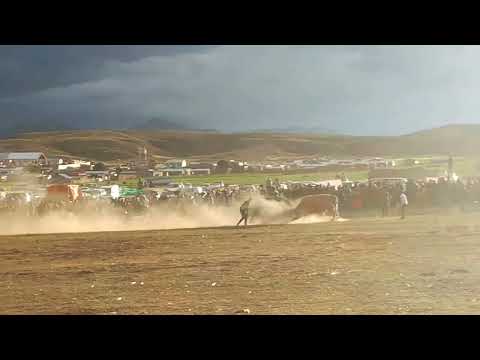 PELEA DE TORO|Khari, Gualberto Villarroel, La paz 2023