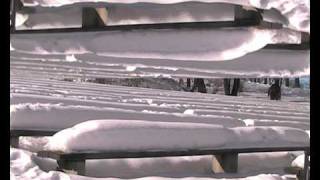 Daniel Savio - Nightmare Food