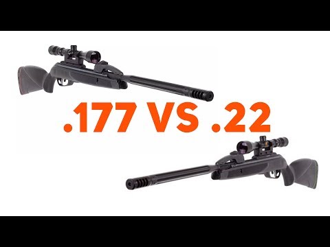 Gamo Swarm MAXXIM .177 VS Gamo Swarm MAXXIM .22 - Side By Side Comparison