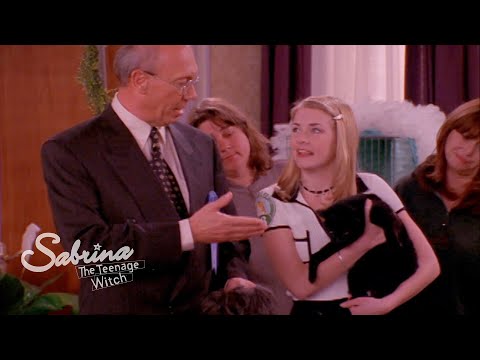 Will Salem Win "Best in Show"?