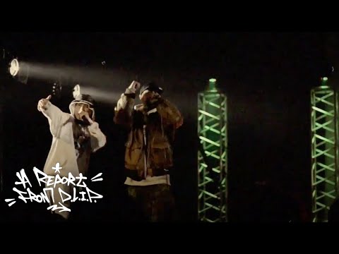 A REPORT From D.L.i.P. Page 2 「D.L.i.P. - LIVE n SEVEN」