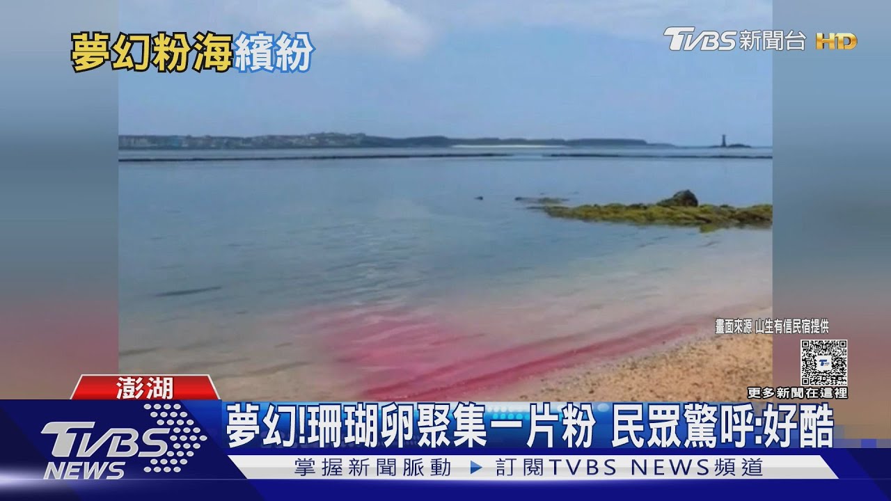 珊瑚產卵季　澎湖望安、七美島現「粉紅奇景」