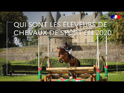 Qui sont les éleveurs de chevaux de sports en 2020 ?