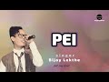 PEI Bijoy Lekthe New Karbi Song Lyrical Song