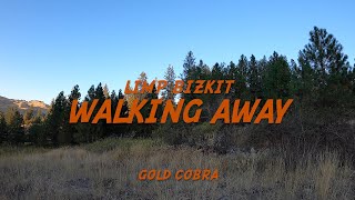 Limp Bizkit - Walking Away (Lyrics)