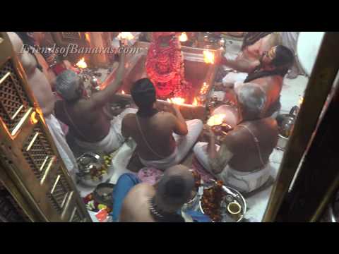 Kashi Vishwanath Darshan and Saptarishi Aarti