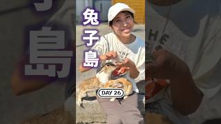 DAY26  有上百隻兔子的兔子之島！大久野島 26天的家族旅行｜可以親手餵食可愛的兔子 忠海港 廣島縣｜川崎太太日文俱楽部｜親子日本語學習｜零基礎旅遊日文