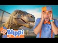 Blippi Becomes A Paleontologist And Discovers Dinosaurs At Dinosaur Encounters Blippi