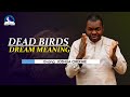 Dead Birds Dream Meaning - Symbolism and Biblical Interpretations