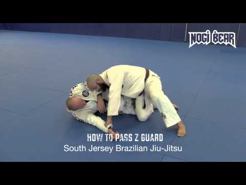 How to Pass Z Guard for BJJ MMA - Coach Jay Regalbuto of South Jersey Brazilian Jiu-Jitsu Nogi Bear™