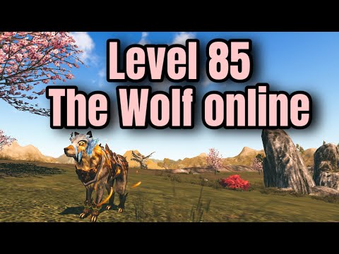 Reaching level 85! | The Wolf Online 🐾
