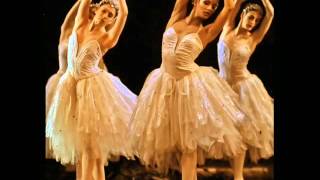 Swan Lake Theme by David Garrett