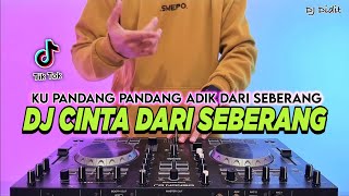 Download lagu DJ CINTA DARI SEBERANG - KU PANDANG PANDANG ADIK DARI SEBERANG REMIX FULL BASS VIRAL TIKTOK TERBARU mp3 Download lagu DJ CINTA DARI SEBERANG - KU PANDANG PANDANG ADIK DARI SEBERANG REMIX FULL BASS VIRAL TIKTOK TERBARU mp3