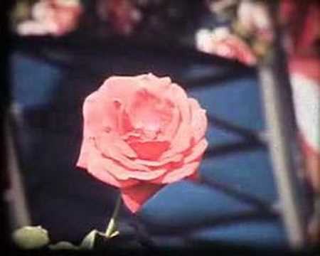 Neue Stadt Wulfen 1971 Teil 3