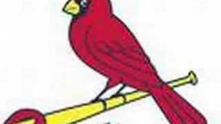 REDBIRD FEVER--CREATED BY CATHY JO