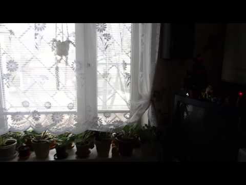 Test SEMA-1 for OM-D EM-5. part2 Olympus ME-51S microphone