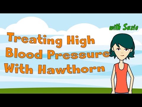 高血圧 - サンザシと高血圧を扱う (Hypertension - Treating High Blood Pressure With Hawthorn)
