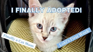 I FINALLY ADOPTED A KITTEN! My First Week As A New Cat Mum | Loki & Elena