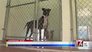Fayetteville animal shelter waiving adoption fees
