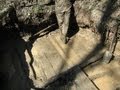 Раскопки немецких палаток-Блиндажей апрель 2012\Digging of German dugouts April ...