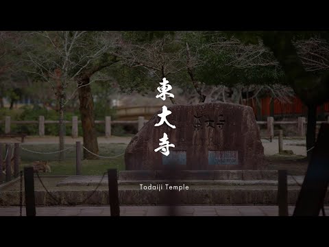 映像で見る文化財編 -東大寺-