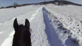 preview picture of video 'Contour Roam - Great canters / galops in deep snow, fabuleux galops dans la neige profonde'