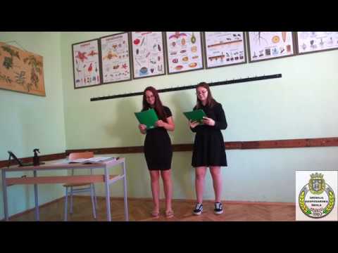 Svečana dodjela svjedodžbi, SGŠ