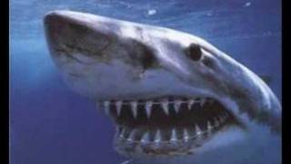 elio e le storie tese omosessualità