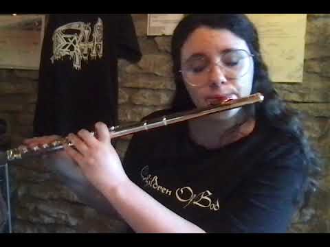 DEATH-Flesh and the Power It Holds SOLO flute cover