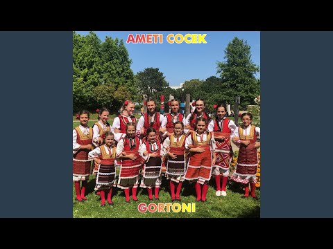Ameti Cocek