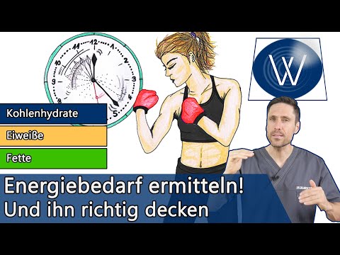 Energiebedarf & Stoffwechsel: Unsere tägliche Energiegewinnung durch Proteine, Kohlenhydrate & Fette