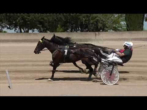 Ippodromo dei Sauri - 1° corsa del 19.5.2022