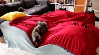 preview picture of video 'Kitty Cat - Tent Game - With Zelda'