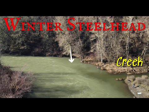 January Steelhead fishing Washington State