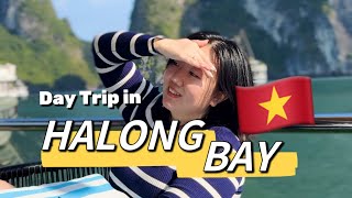 BERLAYAR RASA BINTANG-5 | Day Trip in Halong Bay Vietnam | January 2024