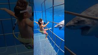 5 YR OLD Swims with GREAT WHITE SHARKS!!